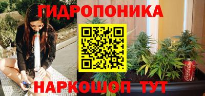 Альфа ПВП Ярославль